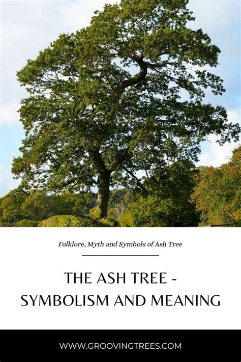 Different symbols of the ash tree Tree Meanings, Tuck Everlasting, Ash ...