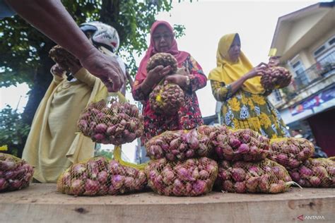 LPEM FEB UI Inflasi Umum Turun Didukung Intervensi Aktif Pemerintah