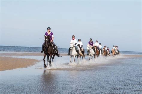 Ausritt Am Strand Von St Petr Ording Pferdeorte In Deutschland Erleben