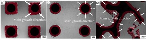 Scielo Brasil Forming Model Optimization And Microstructural