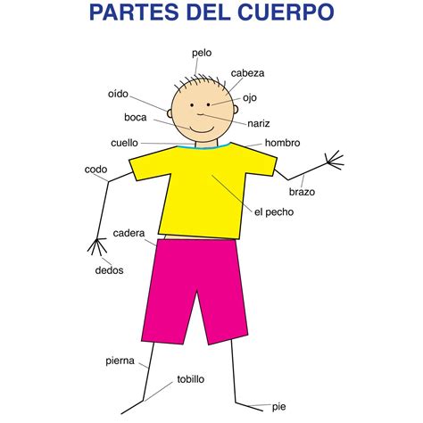 Printable Body Parts In Spanish