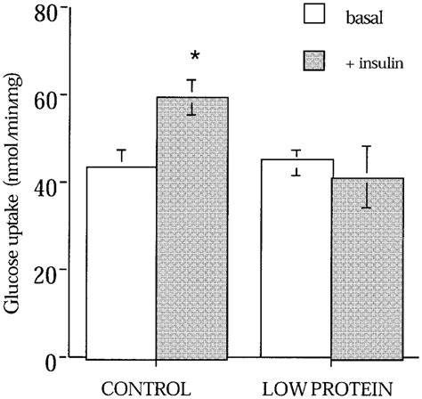 Glucose Uptake Into Soleus Muscle Of Control And Low Protein Offspring