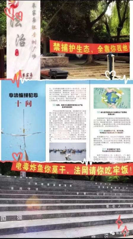 【法治为民办实事】朱家角司法所开展严禁非法捕捞专题宣传活动澎湃号·政务澎湃新闻 The Paper