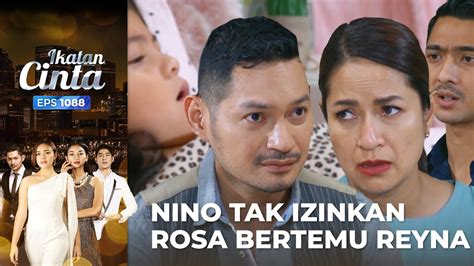 SANGAT KERAS Nino Tak Mengizinkan AL Rosa Bertemu Reyna IKATAN