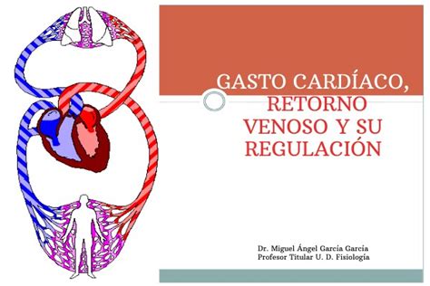 Gasto Card Aco Retorno Venoso Y Su Regulaci N