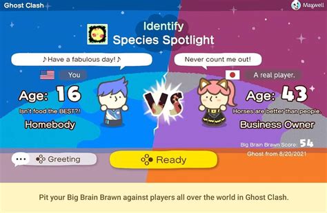 Nintendo Big Brain Academy Brain Vs Brain Nintendo Switch Buy Best