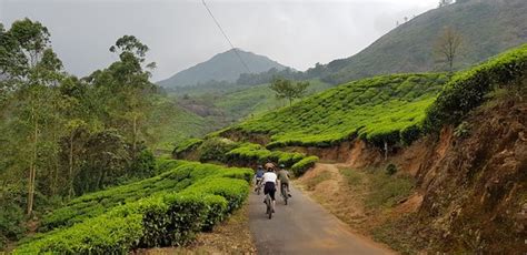 Trek Munnar 2022 Qué Saber Antes De Ir Lo Más Comentado Por La Gente Tripadvisor