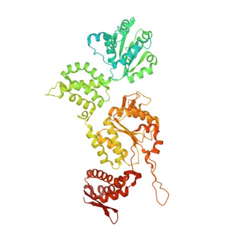 RCSB PDB 7UIY ClpAP Complex Bound To ClpS N Terminal Extension