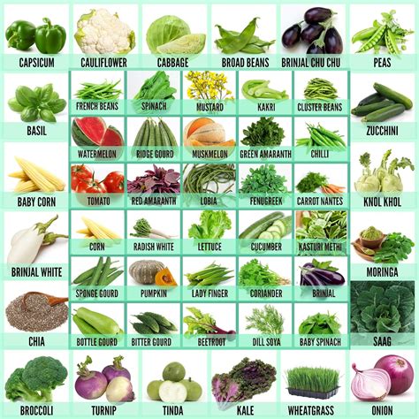 Leafy Green Vegetables List