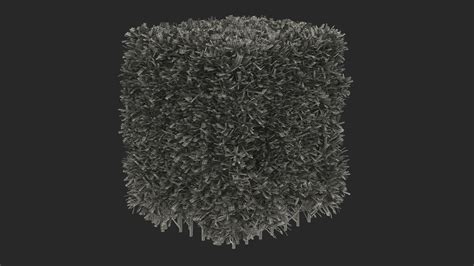 Boxwood Bush Square 3d Turbosquid 1574958