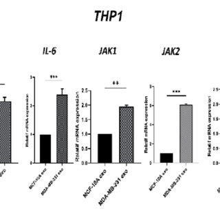 Relative Expressions Of Genes Related To The JAK STAT Pathway In THP 1