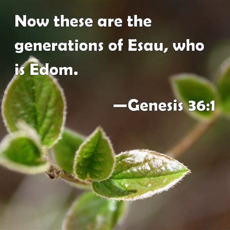 Genesis 36 1 Now These Are The Generations Of Esau Who Is Edom