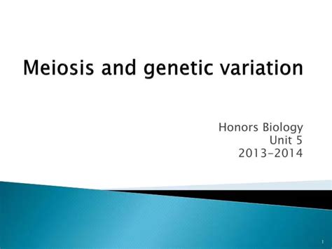 Ppt Meiosis And Genetic Variation Powerpoint Presentation Free