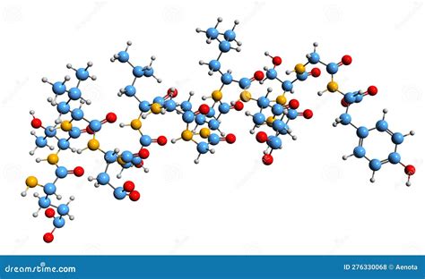 Leptin Hormone Role In Schematic Vector Illustration Diagram ...