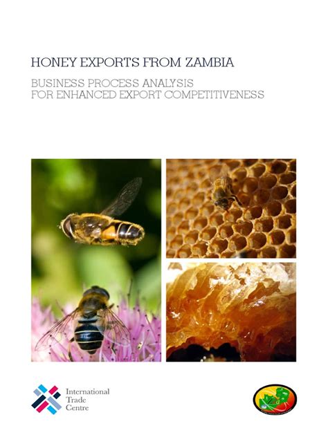 17 06 2016 Honey Zambia Bpa Pdf Financial Transaction Payments
