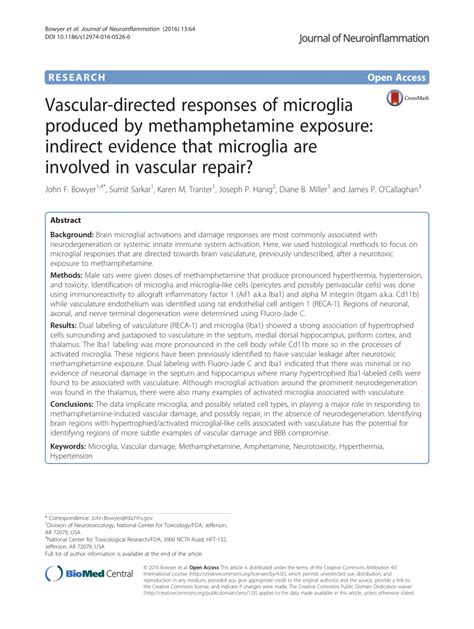 Pdf Vascular Directed Responses Of Microglia Produced By