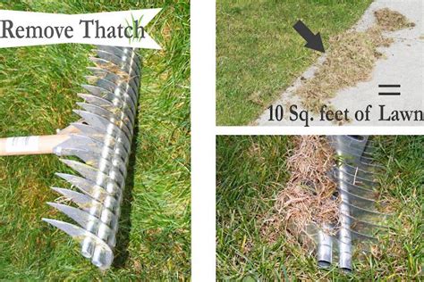 How to dethatch lawn using a thatching rake – Artofit