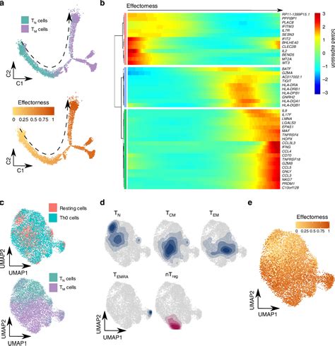 Figure From Single Cell Transcriptomics Identifies An Effectorness