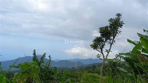 Rumaindo Dijual Tanah Kebun Full View Gunung Berlapis Dan Lembah Di