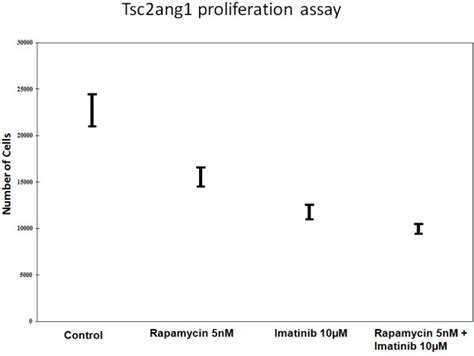 A Effect Of Rapamycin Imatinib Or Combination Of Imatinib And