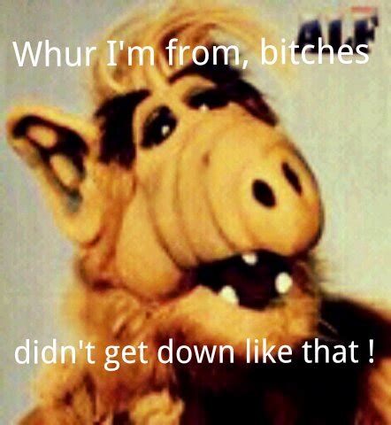 Funny Alf Quotes. QuotesGram