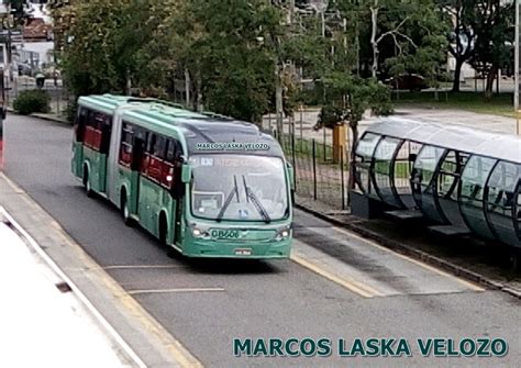 Blog Datamarcos Nibus Urbano Articulado Neobus Mega Brt No