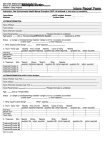 Form Doh H Multiple Victim Injury Report Form New York State