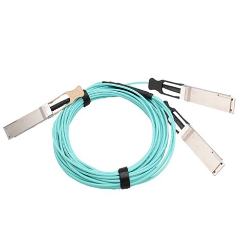 400g Qsfp Dd To 2x 200g Qsfp56 Mmf Breakout Aoc Tarluz Fiber Optic Suppliers