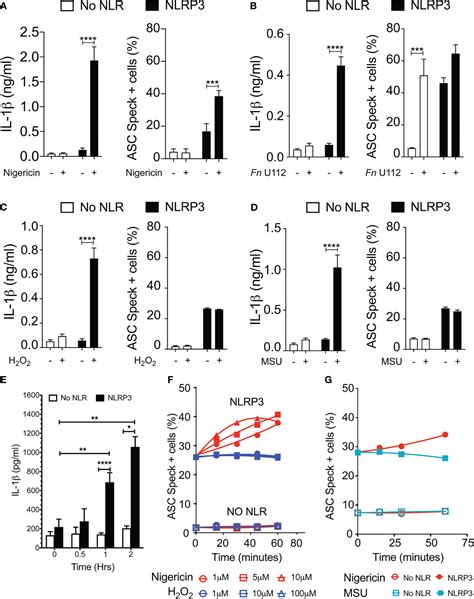 Frontiers The Asc Speck And Nlrp3 Inflammasome Function Are Spatially