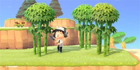 Animal Crossing New Horizons How To Get Bamboo