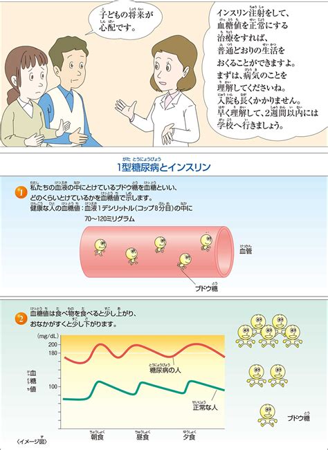 小児の糖尿病をよく知ろう 糖尿病の基礎知識 糖尿病について テルモ糖尿病ケアサイト