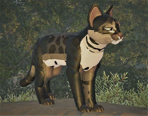 Charcoal Bengal Wcue Morph In Warrior Cats Fan Art Warrior Cats