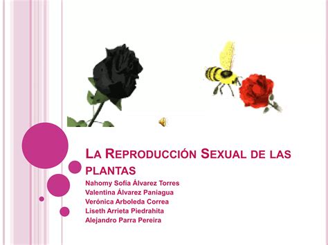 La Reproducción Sexual De Las Plantas Ppt