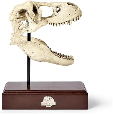 Amazon Jurassic World R Plica De Resina De Calavera De