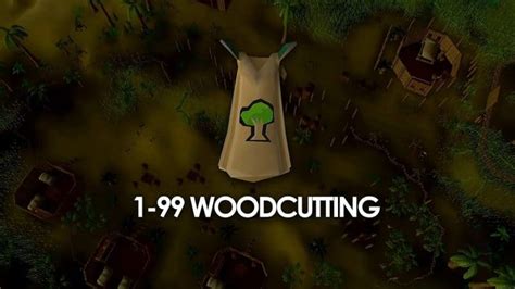 Complete Osrs Woodcutting Guide 1 99 Afk F2p P2p Methods