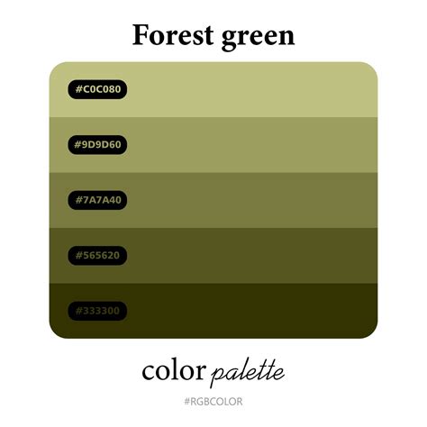 Forest Green Color Palettes Accurately With Codes Perfect For Use By Illustrators 14159042