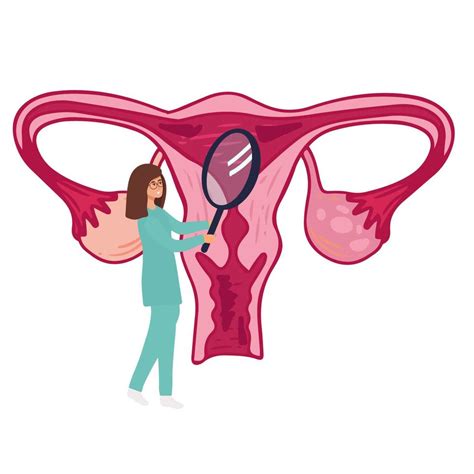 ciclo menstrual feminino médica acompanhando o ciclo menstrual