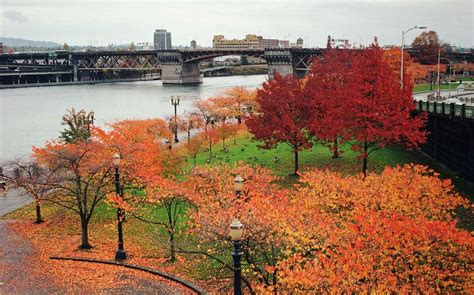 How To Have The Best Fall Ever Portland Oregon Photography Oregon