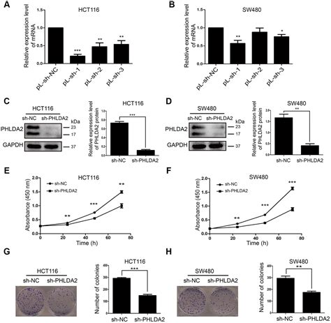 Phlda Regulates Emt And Autophagy In Colorectal Cancer Via The Pi K