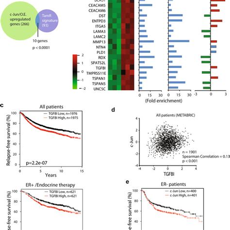 Tgfbi Expression Is Upregulated In Human Breast Cancer A B Tgfbi