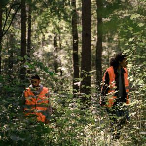 Foggia Ricerche Intensificate Per Anziano Disperso A Bosco Spinapulci