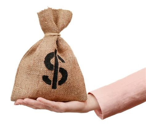 Premium Photo Hand Holding Money Bag Isolated On White