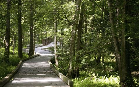 The Ramble Amenities The Ramble Biltmore Forest Asheville Nc