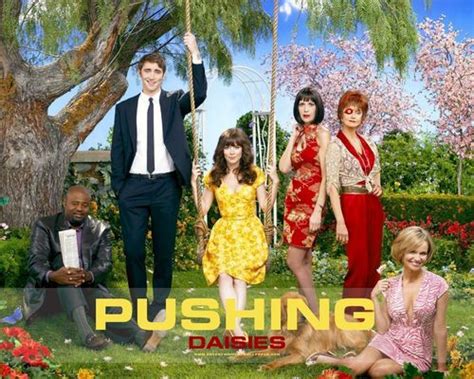 YouTube - Pushing Daisies - Ned / Chuck - Beautiful - Pushing Daisies ...