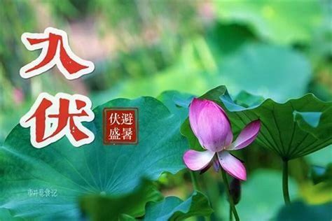 农历六月六民俗（民间三伏天有啥讲究）民俗风俗山东研几周易文化传播有限公司