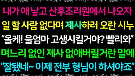 사이다사연내가 애낳고 산후조리원에서 나오자 일할 사람 없다며 제사하러 오란 시누 며느리 없인 제사 못한단 말에 잘됐네