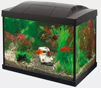 Superfish Aquarium Start Goldfish Kit Zwart Kopen Tuincentrum