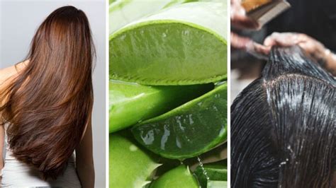 Sorprendente Todos los beneficios de la sábila en el cabello Línea