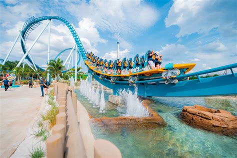 Pipeline The Surf Coaster At SeaWorld Orlando Orlando Informer