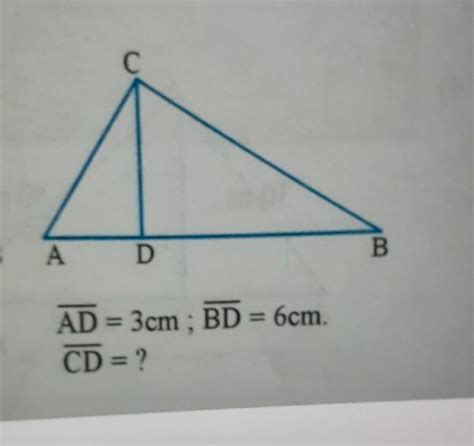 Porfa Quien Me Ayuda Sigo Y Doy Coronita Aplicar El Teorema De Euclides Brainlylat